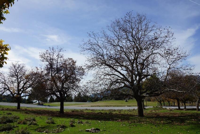 Aydın da nasibini aldı: Merkeze 25 kilometre uzakta dağlarda görüldü
