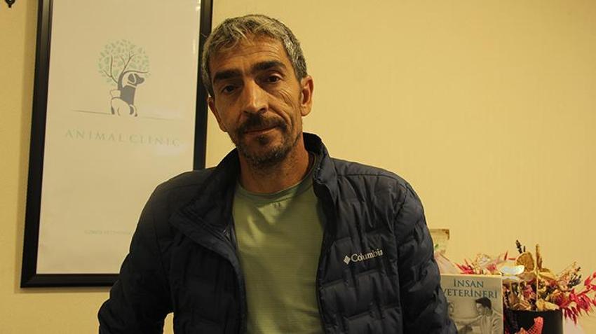 Sivas'ta tedirgin eden gelişme! Kedi AİDS'i ortaya çıktı: 'İnsandaki gibi kan yoluyla, cinsel yolla bulaşır'