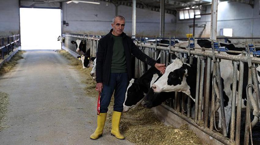 Sivaslı vatandaş devlet desteğiyle çiftlik kurdu! 20 inekle başladı sayıyı 3 kat artırdı