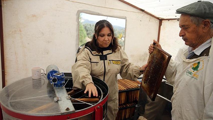 Dünya üretiminin yüzde 72'sini karşılıyor: Rekolte 20 bin tona ulaştı üreticilerin yüzü güldü!