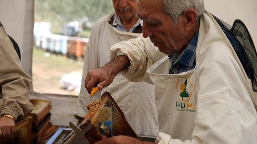 Dünya üretiminin yüzde 72'sini karşılıyor: Rekolte 20 bin tona ulaştı üreticilerin yüzü güldü!