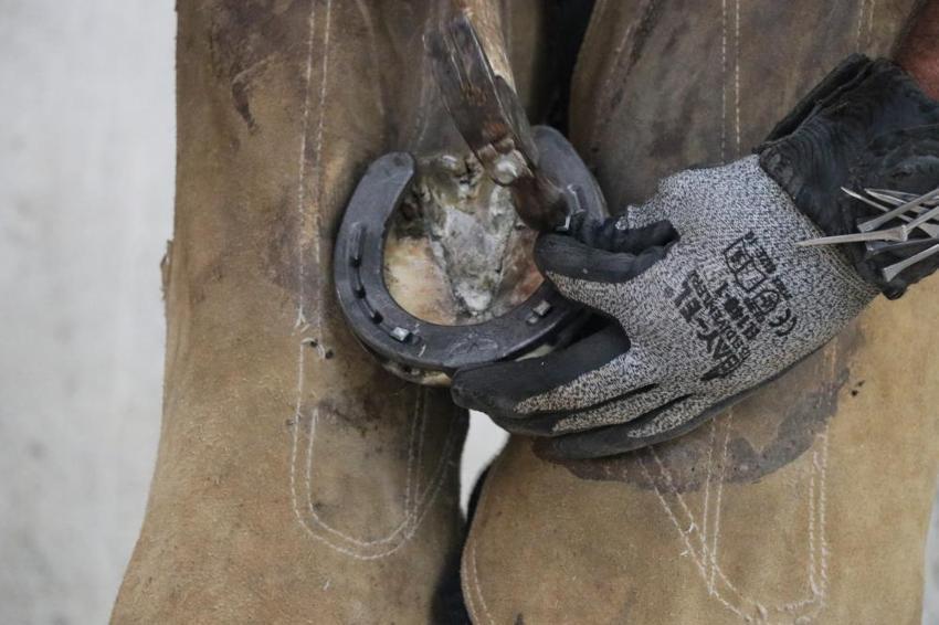 Sivas'ta bu işi yapan çok az kişi kaldı! Son ustalar çalışıyor: 'Yüz yıllık zanaat yok olmanın eşiğinde'