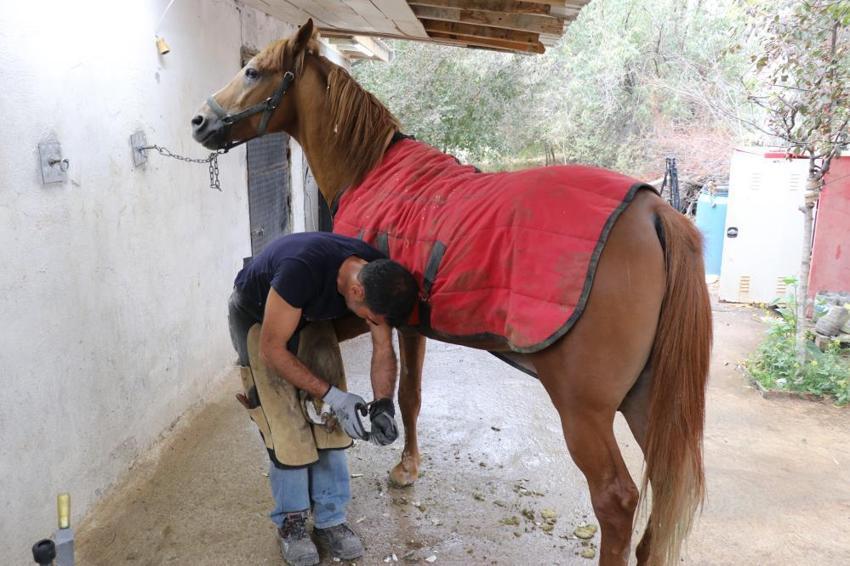 Sivas'ta bu işi yapan çok az kişi kaldı! Son ustalar çalışıyor: 'Yüz yıllık zanaat yok olmanın eşiğinde'