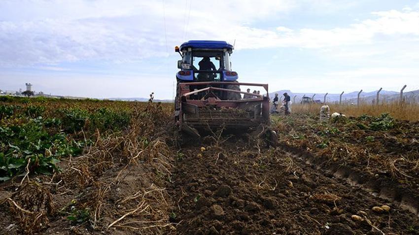 Sivas patates devrimi için düğmeye bastı! 11 ürün testten geçti, 'Üretim rekorları kırabilir!