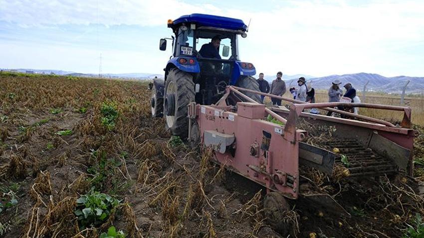 Sivas patates devrimi için düğmeye bastı! 11 ürün testten geçti, 'Üretim rekorları kırabilir!