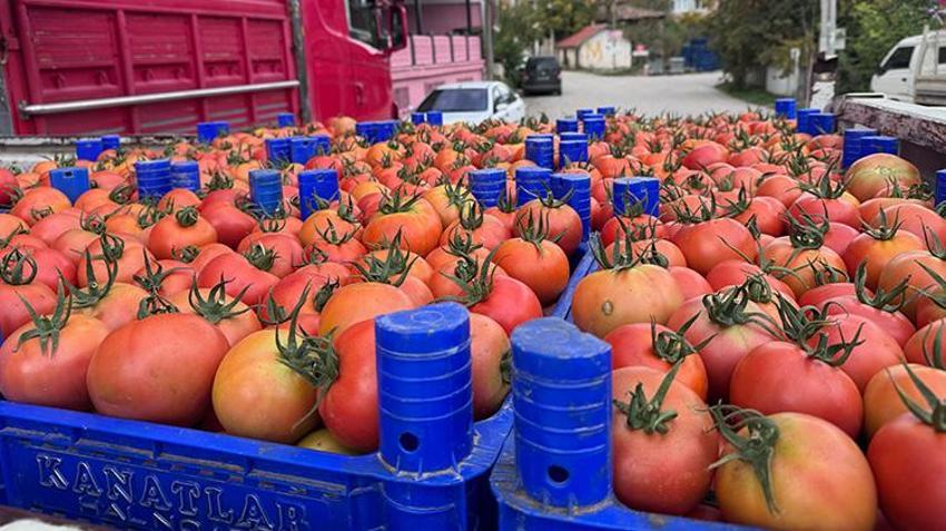 Isparta'da sıcak hava hasat sezonunu uzattı! Köyde işçi bulunamayınca köye göç başladı