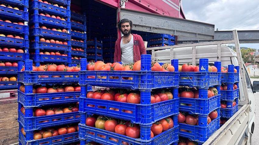 Isparta'da sıcak hava hasat sezonunu uzattı! Köyde işçi bulunamayınca köye göç başladı