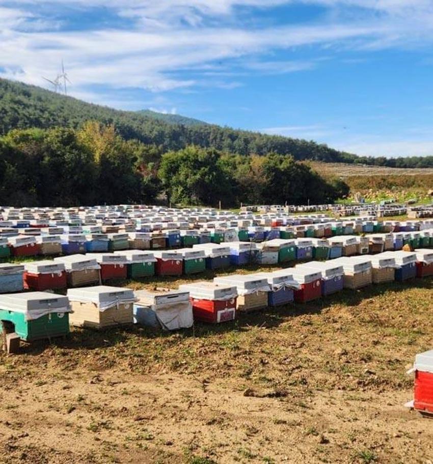 Doğunun en büyük ikinci üretisi Bingöl'de arıcılara yüzde 75 hibe ile 435 arı kovanı dağıtıldı