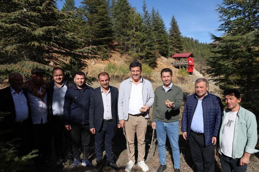 Adana'da köylüler fiyatı etle yarışan bu ürünün peşinde! Sabah ezanıyla ormanın yolunu tutuyorlar: Japonya'ya satılıyor