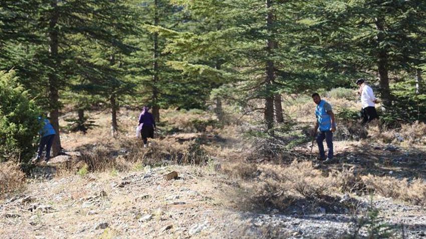 Adana'da köylüler fiyatı etle yarışan bu ürünün peşinde! Sabah ezanıyla ormanın yolunu tutuyorlar: Japonya'ya satılıyor