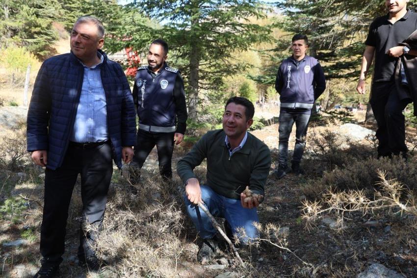 Adana'da köylüler fiyatı etle yarışan bu ürünün peşinde! Sabah ezanıyla ormanın yolunu tutuyorlar: Japonya'ya satılıyor