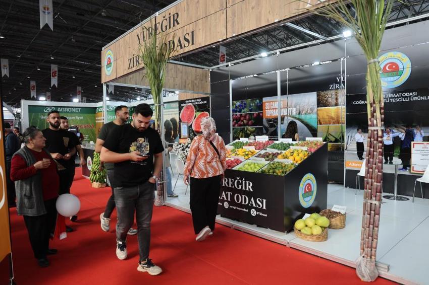 Adana Tarım Fuarı'nda tropikal meyveleri görenler gözlerine inanamadı! Artık ejder meyvesi ve mango yetiştiriliyor