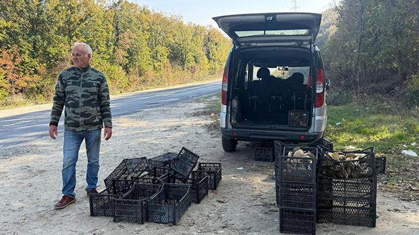 Istranca Ormanları'nda en kötü sezonu yaşanıyor! Kuraklık vurdu, fiyatı 500 TL'yi buldu: 'Geçen senenin yüzde 1'i bile yok'