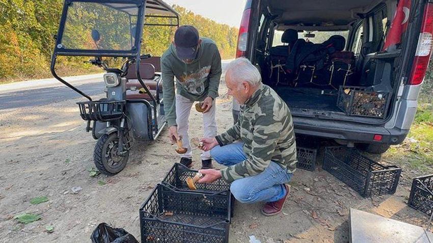 Istranca Ormanları'nda en kötü sezonu yaşanıyor! Kuraklık vurdu, fiyatı 500 TL'yi buldu: 'Geçen senenin yüzde 1'i bile yok'