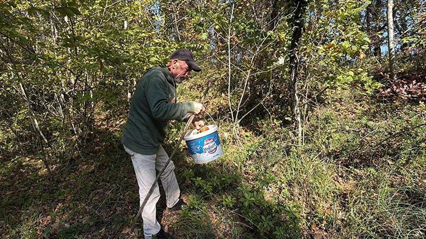 Istranca Ormanları'nda en kötü sezonu yaşanıyor! Kuraklık vurdu, fiyatı 500 TL'yi buldu: 'Geçen senenin yüzde 1'i bile yok'