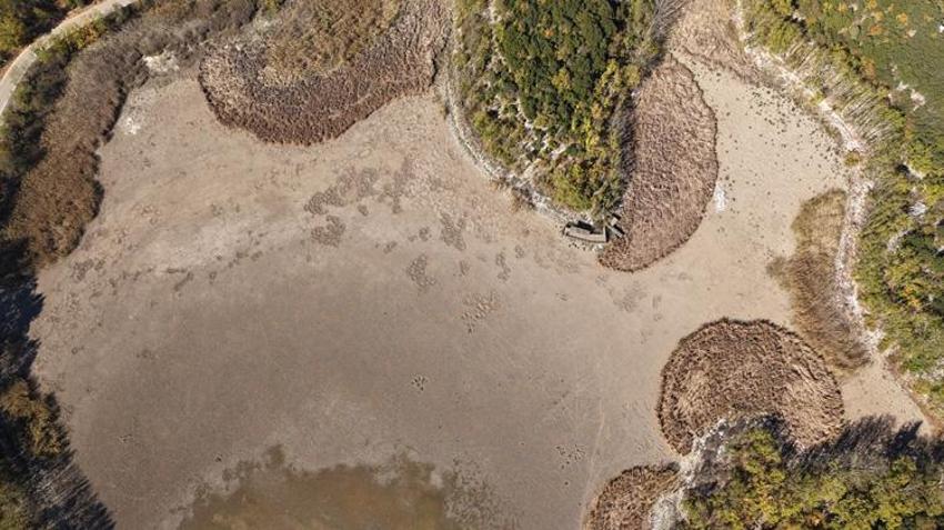 Türkiye'nin en değerli alanlarından biriydi! Kovada Gölü'nde büyük tehlike: Bir bir yok oluyorlar