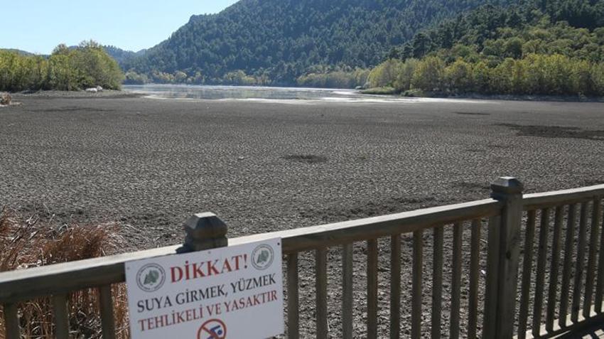 Türkiye'nin en değerli alanlarından biriydi! Kovada Gölü'nde büyük tehlike: Bir bir yok oluyorlar