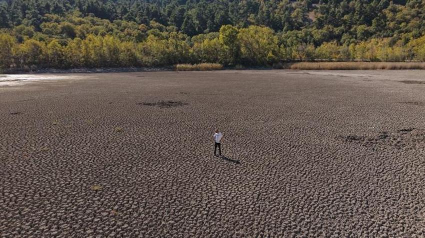 Türkiye'nin en değerli alanlarından biriydi! Kovada Gölü'nde büyük tehlike: Bir bir yok oluyorlar