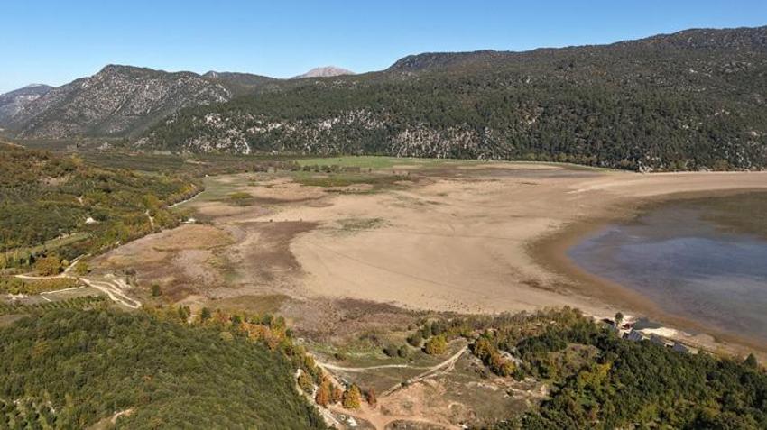 Türkiye'nin en değerli alanlarından biriydi! Kovada Gölü'nde büyük tehlike: Bir bir yok oluyorlar