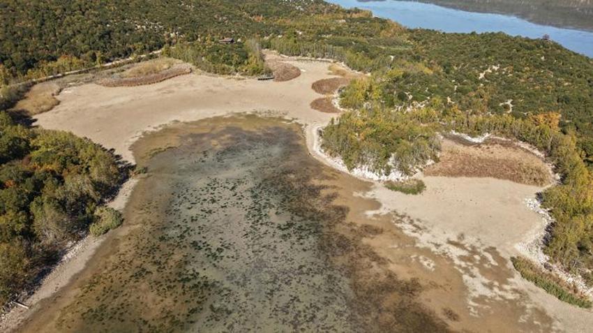 Türkiye'nin en değerli alanlarından biriydi! Kovada Gölü'nde büyük tehlike: Bir bir yok oluyorlar
