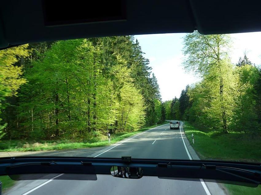 Arabanın değerini yüzde 10 düşürüyor: Uzmanı uyardı: Bu 3 ağacın altına park edilmez!