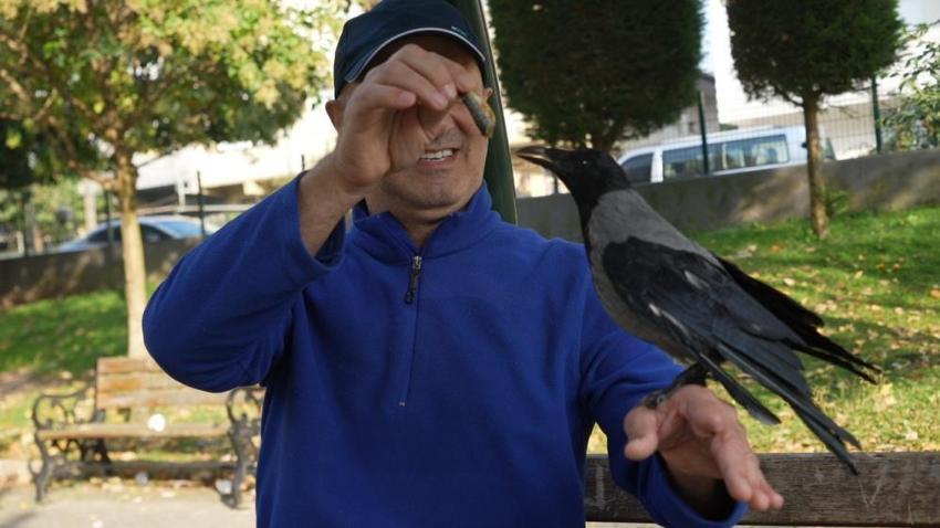 Otobüs kaptanıyla karganın 2,5 yıllık inanılmaz dostluğu! Şakir adını verdiği karga market alışverişini kendi yapıyor, çay içiyor!