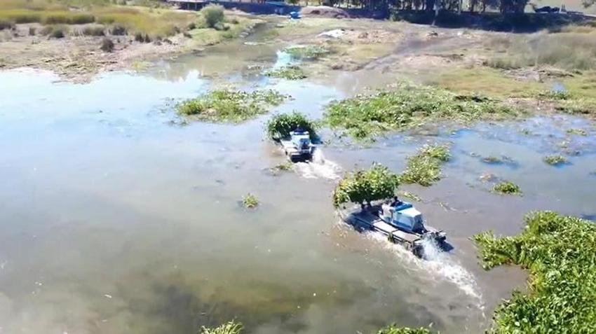Asi Nehri'ni kaplayan istilacı Su Sümbülleri, Hataylı kadınların elinde sanata dönüşüyor: Gölbaşı Gölü temizliği için kritik proje!