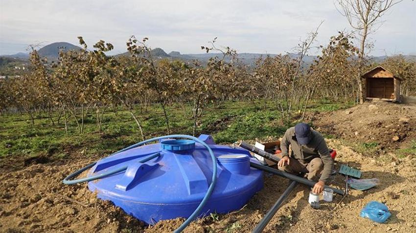 Ordu'da kuraklığa karşı yeni sistem! Fındıkta verimlilik artacak