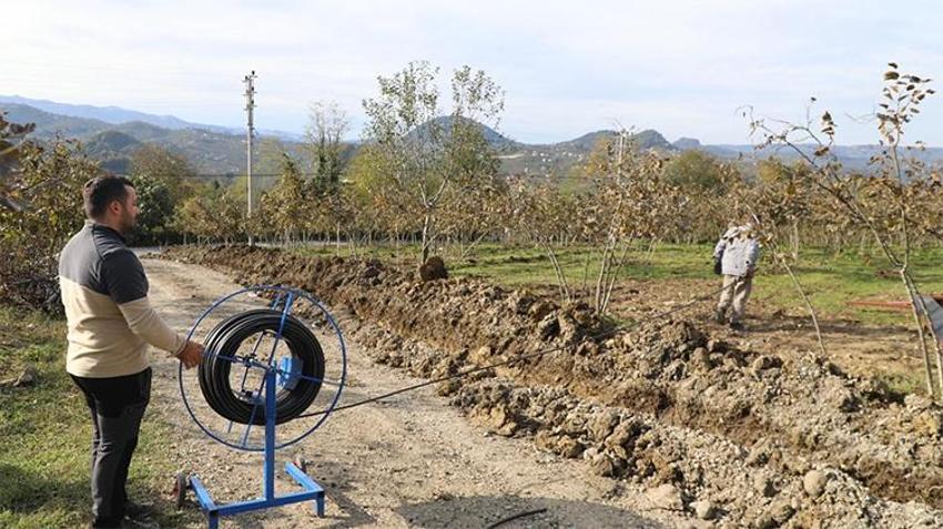 Ordu'da kuraklığa karşı yeni sistem! Fındıkta verimlilik artacak