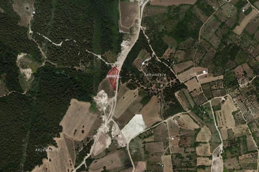 Ormanın ortasındaki arazi satışa çıktı! Bursa'da iki ilçede arsa taksit imkanı var
