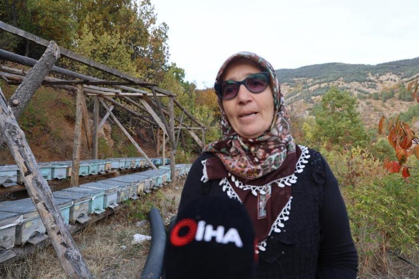 Adana'da arıcıların başı pastırma sıcaklarıyla belada! Arılar kovana girmiyor