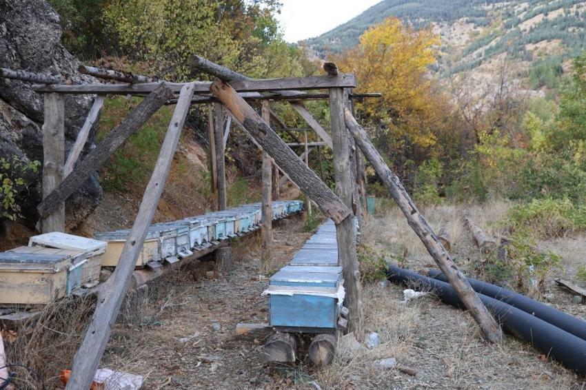 Adana'da arıcıların başı pastırma sıcaklarıyla belada! Arılar kovana girmiyor
