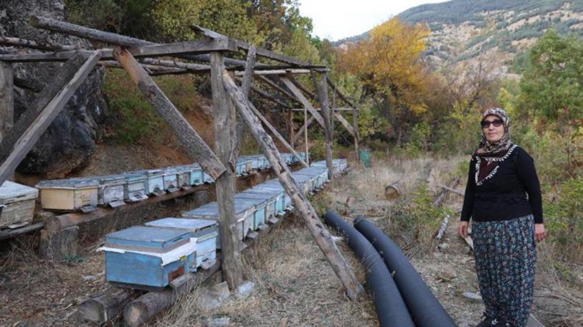 Adana'da arıcıların başı pastırma sıcaklarıyla belada! Arılar kovana girmiyor