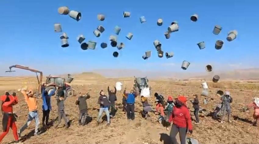 Patnos Ovası'nda rekor verim! Ağrı'da bu sezon bereketli geçti: 500 dönüm araziden 1650 ton ürün çıktı