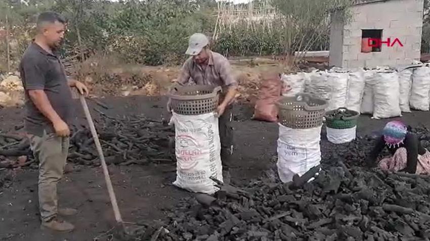 Mersin'de ailece üretiyorlar! 22 günde hazırlanıp çuval çuval satılıyor! Market fiyatları dudak uçuklatıyor