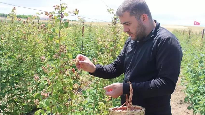 Yılın 12 ayında ürün veriyor! Eken büyük servet kazanıyor: 81 ilde üretim yapılabiliyor
