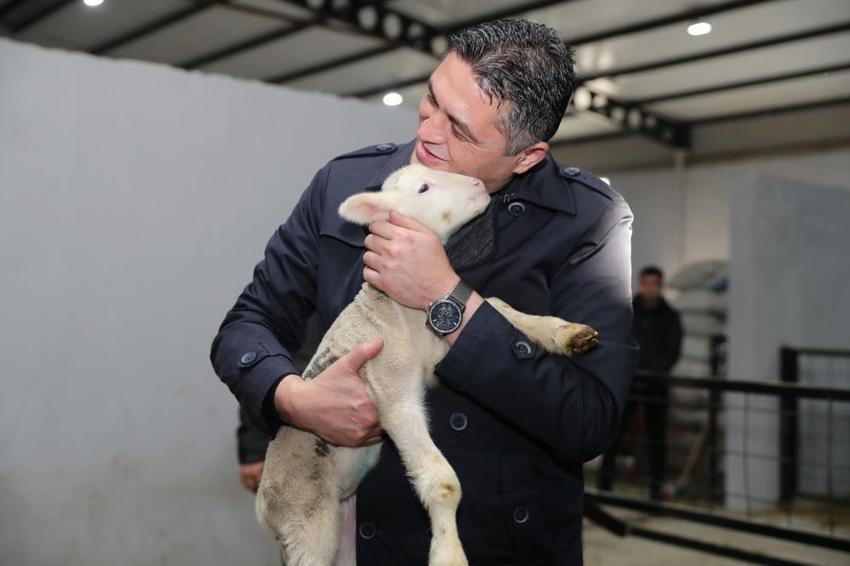 İzmir'de yerel kalkınmaya dev adım! 210 küçükbaş hayvan teslimatı tamam! Üreticiler safkan damızlıklarla sürülerini güçlendiriyor