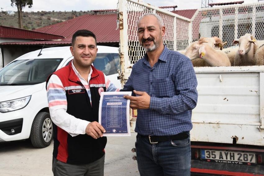 İzmir'de yerel kalkınmaya dev adım! 210 küçükbaş hayvan teslimatı tamam! Üreticiler safkan damızlıklarla sürülerini güçlendiriyor