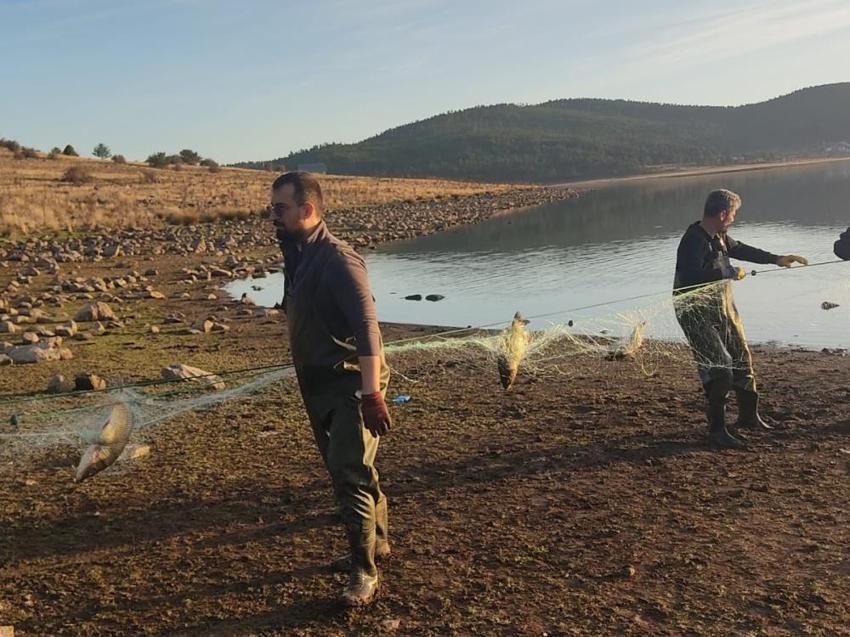 Bolu'da göletin dibinden çıktı! Tam 5 kilometre uzunluğunda: 500 balık canlı olarak kurtarıldı