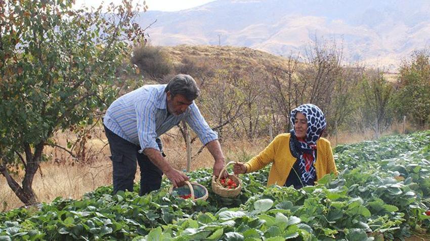 Malatyalı kadın eşini zorla ikna etti şimdi siparişlere yetişemiyor! Hobi olarak başladı ailesinin geçim kaynağı oldu