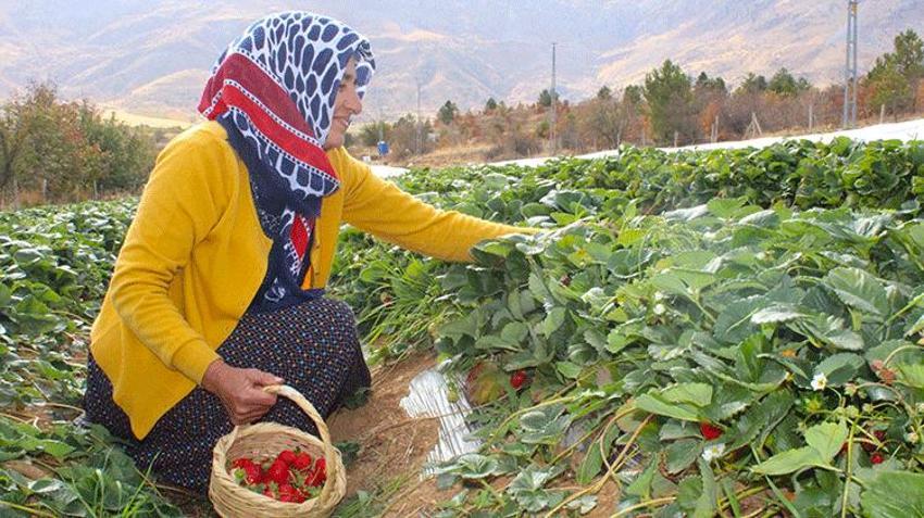 Malatyalı kadın eşini zorla ikna etti şimdi siparişlere yetişemiyor! Hobi olarak başladı ailesinin geçim kaynağı oldu