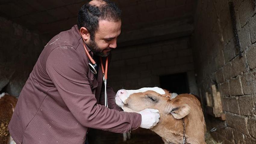 Nevşehirli veteriner hekim, devlet desteğiyle hayvan sayısını artırdı!