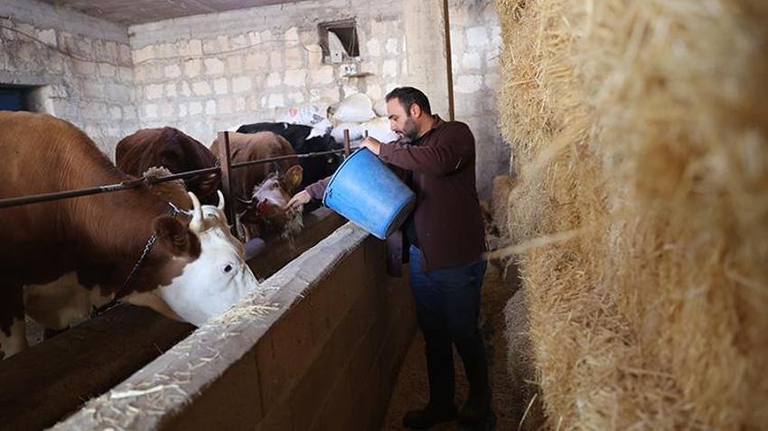 Nevşehirli veteriner hekim, devlet desteğiyle hayvan sayısını artırdı!