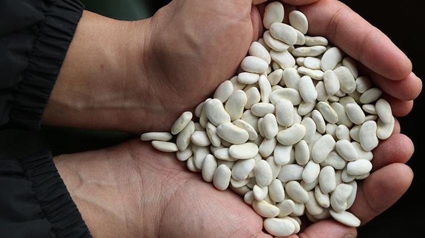 Erzincan'da üretildi, büyük restoran zincirleri peşine düştü! 10 yıllık emeğin ardından tescillendi, şimdi üretimi artırılacak