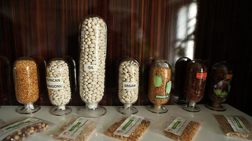 Erzincan'da üretildi, büyük restoran zincirleri peşine düştü! 10 yıllık emeğin ardından tescillendi, şimdi üretimi artırılacak