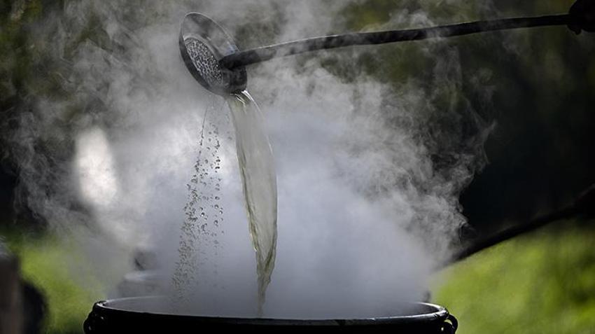 20 dönüm araziye ekti, yılda 1 ton üretmeye başladı! Düzceli kadın girişimci KOSGEB desteğiyle dünyaya açıldı: Yurt dışından sipariş yağıyor
