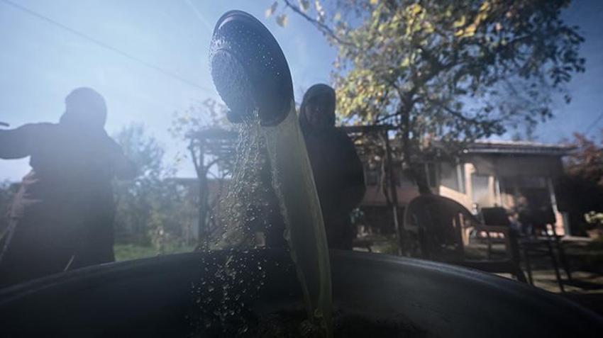 20 dönüm araziye ekti, yılda 1 ton üretmeye başladı! Düzceli kadın girişimci KOSGEB desteğiyle dünyaya açıldı: Yurt dışından sipariş yağıyor