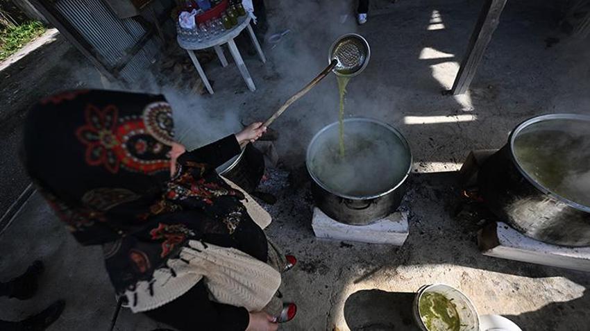 20 dönüm araziye ekti, yılda 1 ton üretmeye başladı! Düzceli kadın girişimci KOSGEB desteğiyle dünyaya açıldı: Yurt dışından sipariş yağıyor