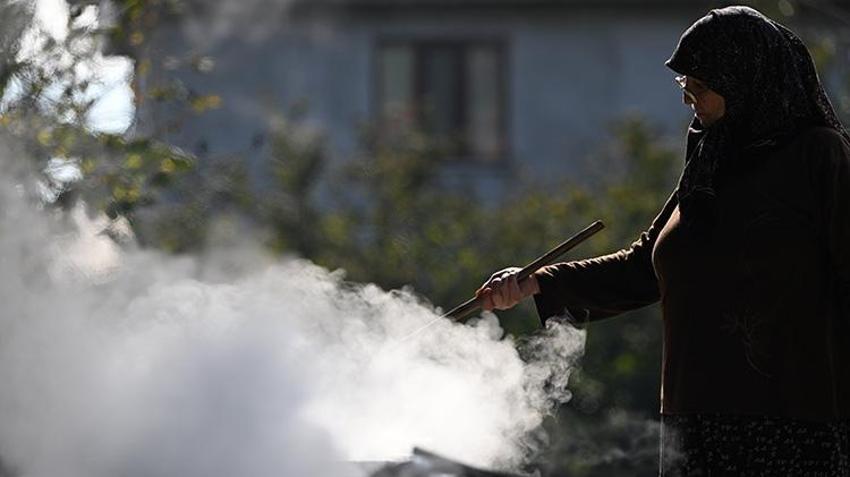 20 dönüm araziye ekti, yılda 1 ton üretmeye başladı! Düzceli kadın girişimci KOSGEB desteğiyle dünyaya açıldı: Yurt dışından sipariş yağıyor