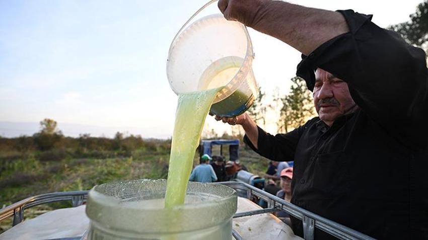 20 dönüm araziye ekti, yılda 1 ton üretmeye başladı! Düzceli kadın girişimci KOSGEB desteğiyle dünyaya açıldı: Yurt dışından sipariş yağıyor